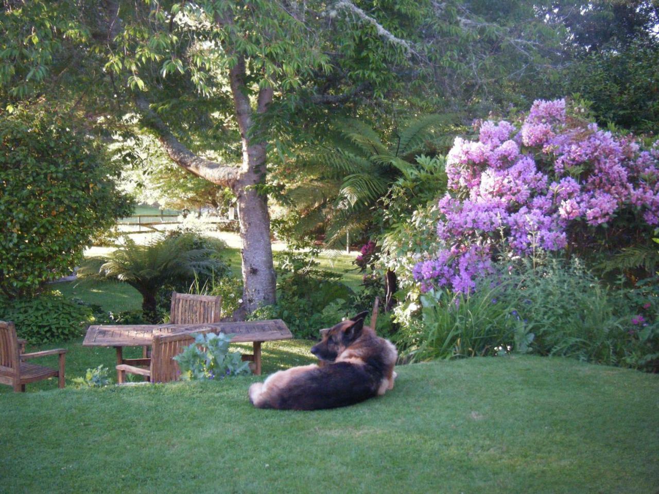 Twynham At Kinloch Bed & Breakfast Exterior photo